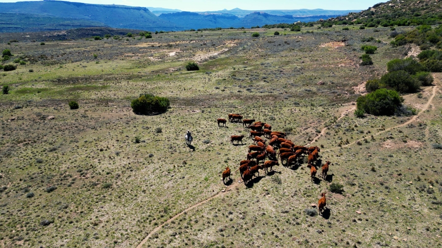 0 Bedroom Property for Sale in Lady Grey Eastern Cape